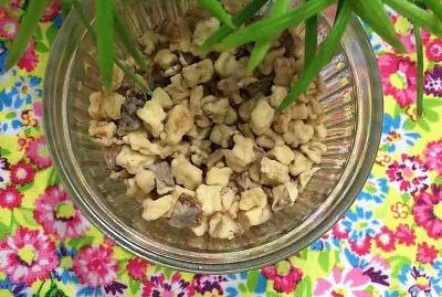 delicias