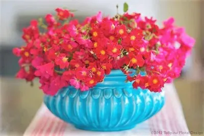 flores