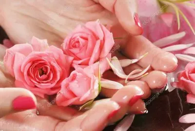 flores jigsaw puzzle