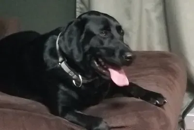 general