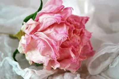 flores jigsaw puzzle