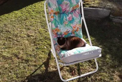Mia
