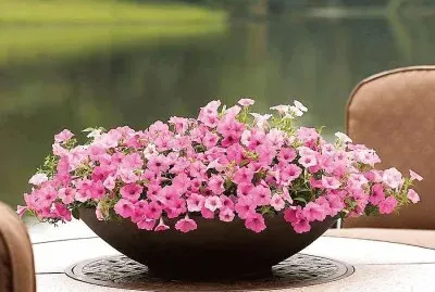 flores