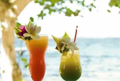 natureza jigsaw puzzle