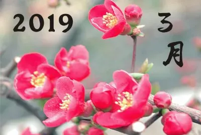 פאזל של 2019.03