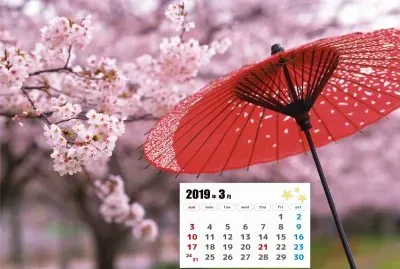 פאזל של 2019.03