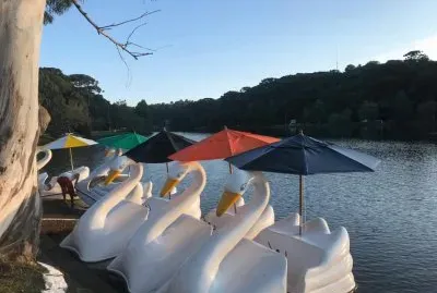 Pedalinhos no Lago