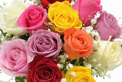 Rosas