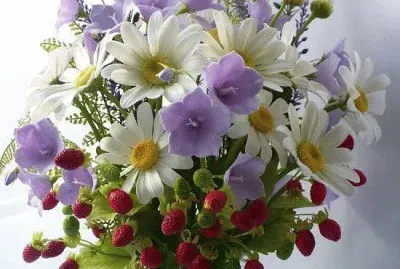 primavera