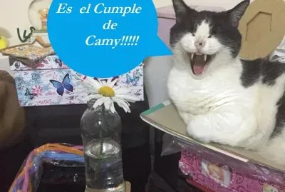 Veranos ...  Dias Felices...