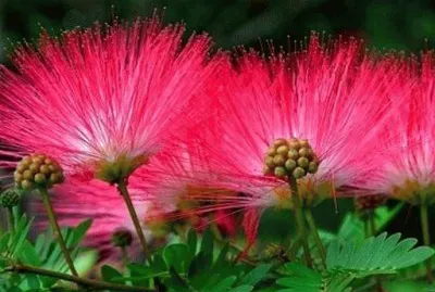 Sensitive jigsaw puzzle