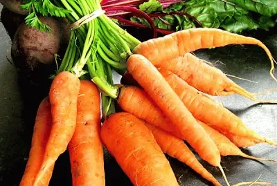 natural jigsaw puzzle