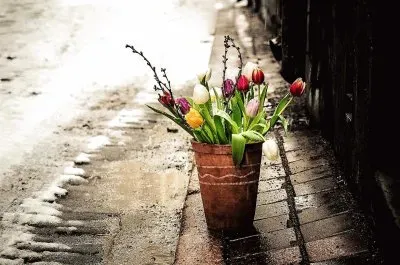 flores jigsaw puzzle