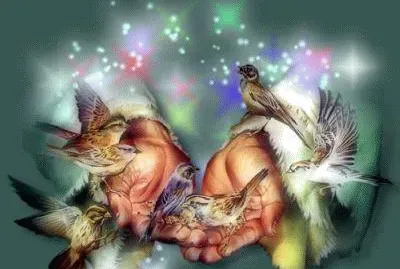 imagem