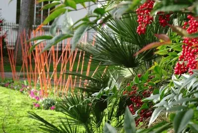 perles rouges
