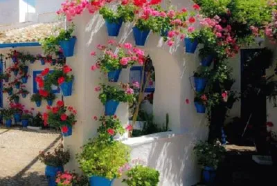 patio fleuri jigsaw puzzle
