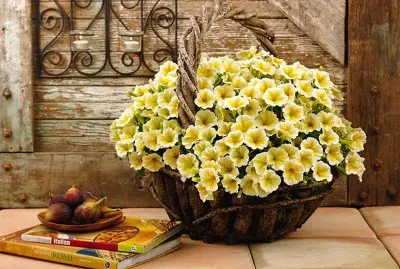 flores jigsaw puzzle