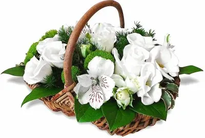 flores