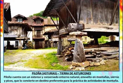 PILOÃ‘A (ASTURIAS) â€“ TIERRA DE ASTURCONES