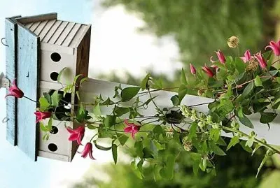 natural jigsaw puzzle