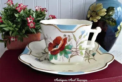 flores