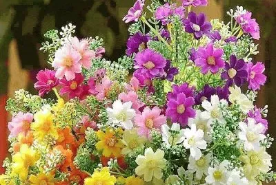 flores jigsaw puzzle