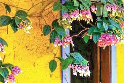 flores jigsaw puzzle