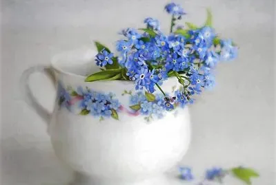 flores