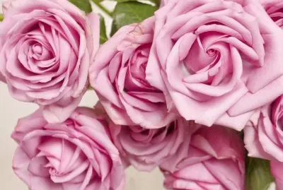 flores jigsaw puzzle