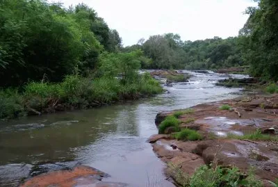 Erval Novo