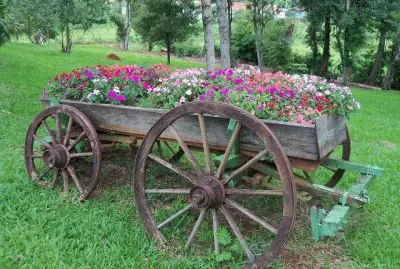 carroÃ§a jigsaw puzzle