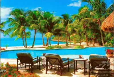 Imagem jigsaw puzzle