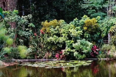 Imagem jigsaw puzzle