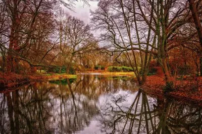 Imagem jigsaw puzzle