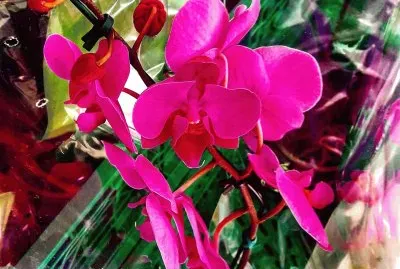 flores jigsaw puzzle
