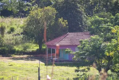 casa entre Ã¡rvores