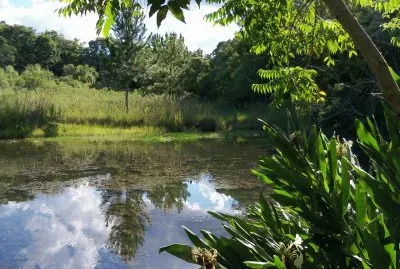 laguinho