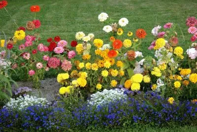 flores