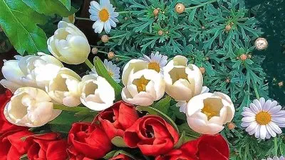 flores