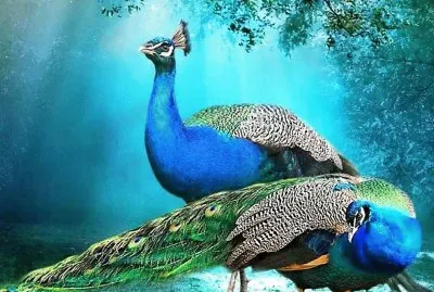 natural jigsaw puzzle