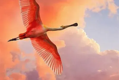 natural jigsaw puzzle