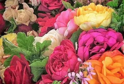 flores jigsaw puzzle