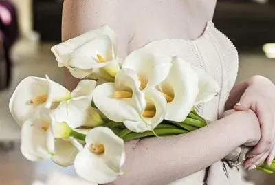 delicadeza