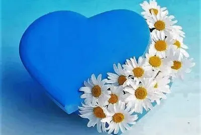 flores jigsaw puzzle