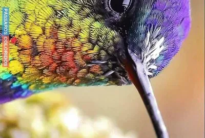 natural
