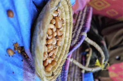 natural jigsaw puzzle