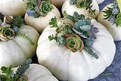 flores jigsaw puzzle