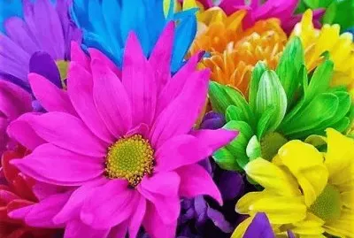 cores