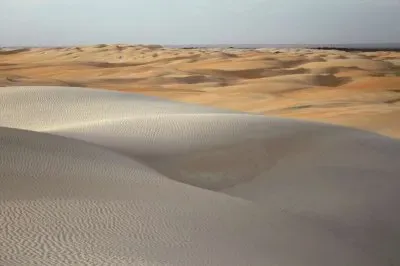 Dunas do Rosado - Rio Grande do Norte - Brazil