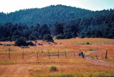 Sierra Tarahumara, Chihuahua.